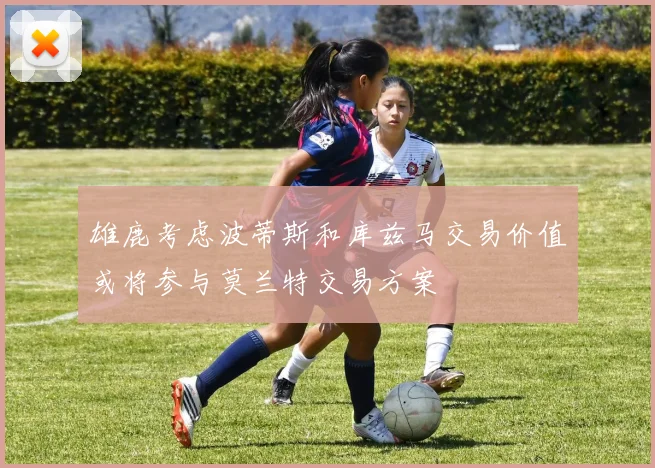 雄鹿考虑波蒂斯和库兹马交易价值或将参与莫兰特交易方案